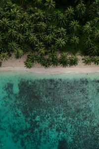 marcreation gvdvohp6oik unsplash