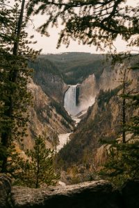 samuel quek pxfxwuv 3a0 unsplash (1)